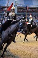 Cavalry - 00175